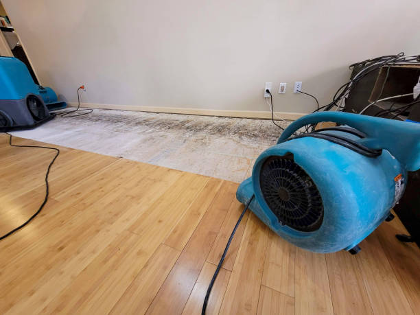 Professional Flood Damage Cleanup technician working in French Camp, CA